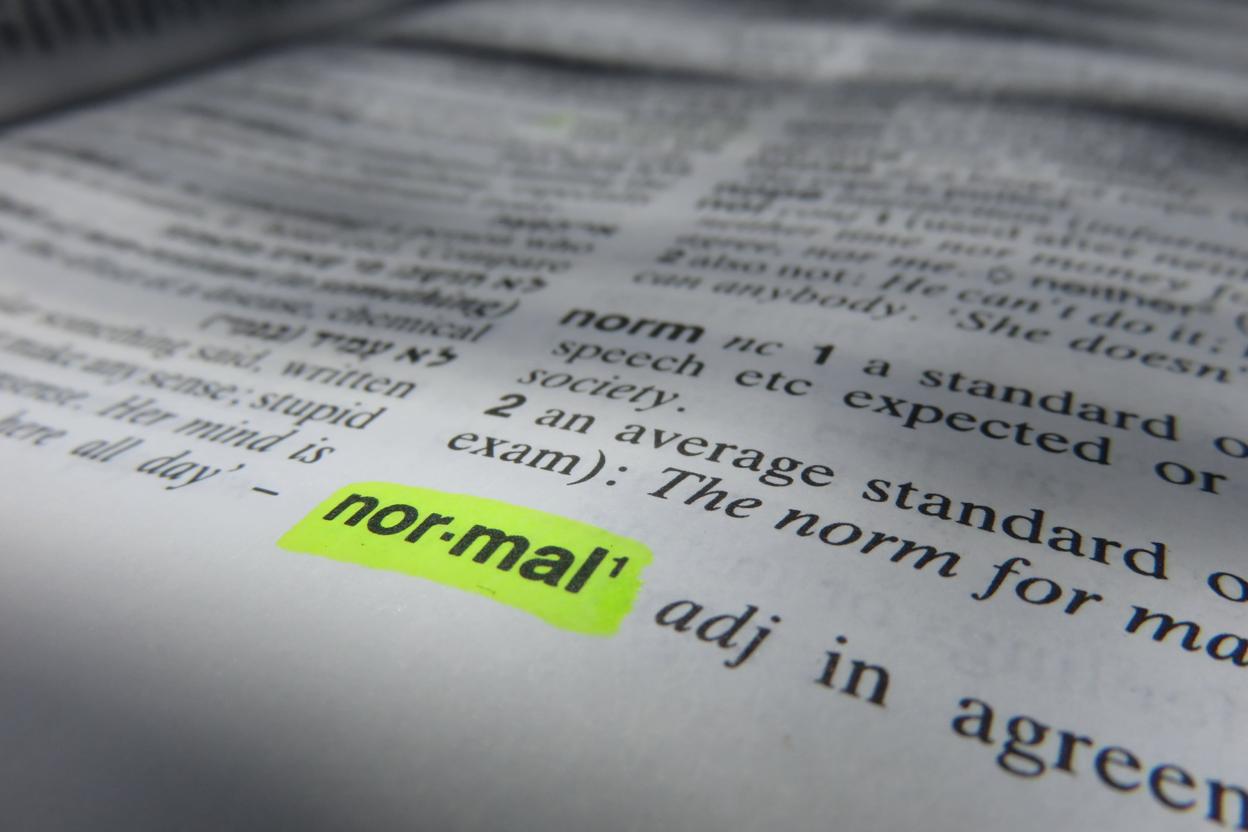 Never the Same Normal Twice | 228Main